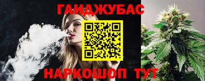 дмт Пенза