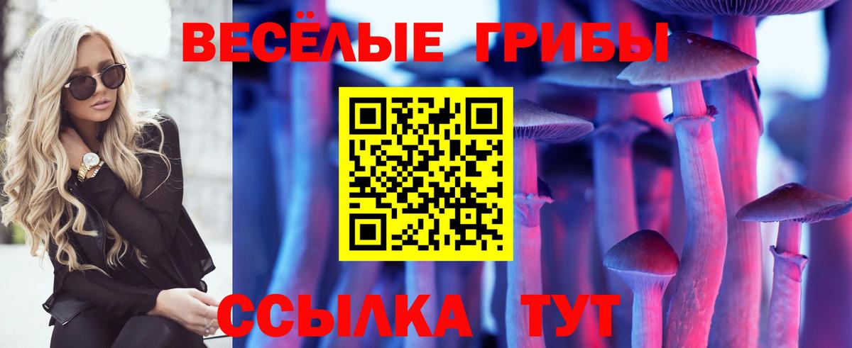 Соль-Илецк  Галлюциногенные грибы ЛСД  Вход с VPN 